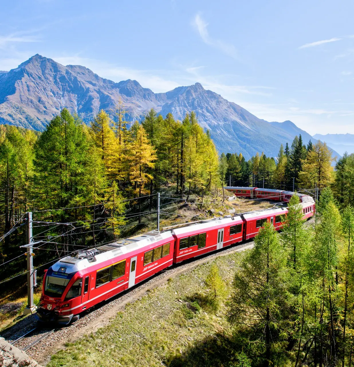 red and white train near trees during daytime